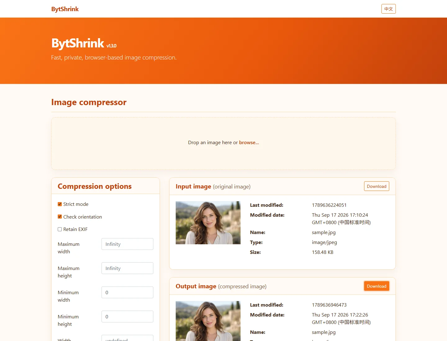 BytShrink showing compression options, original and output images, and a comparison preview in English