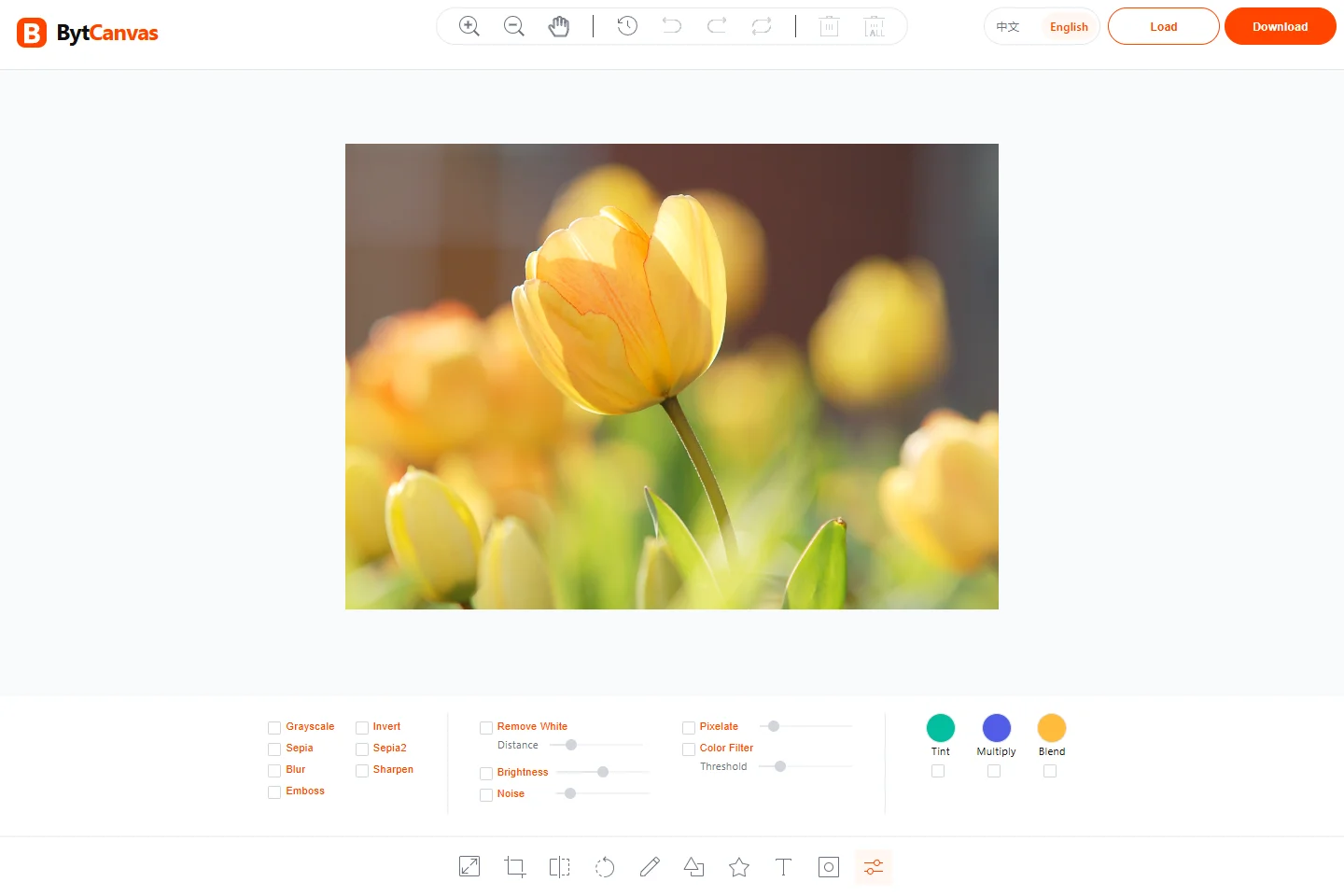 BytCanvas editor showing a tulip photo, editing toolbar and filter controls in English
